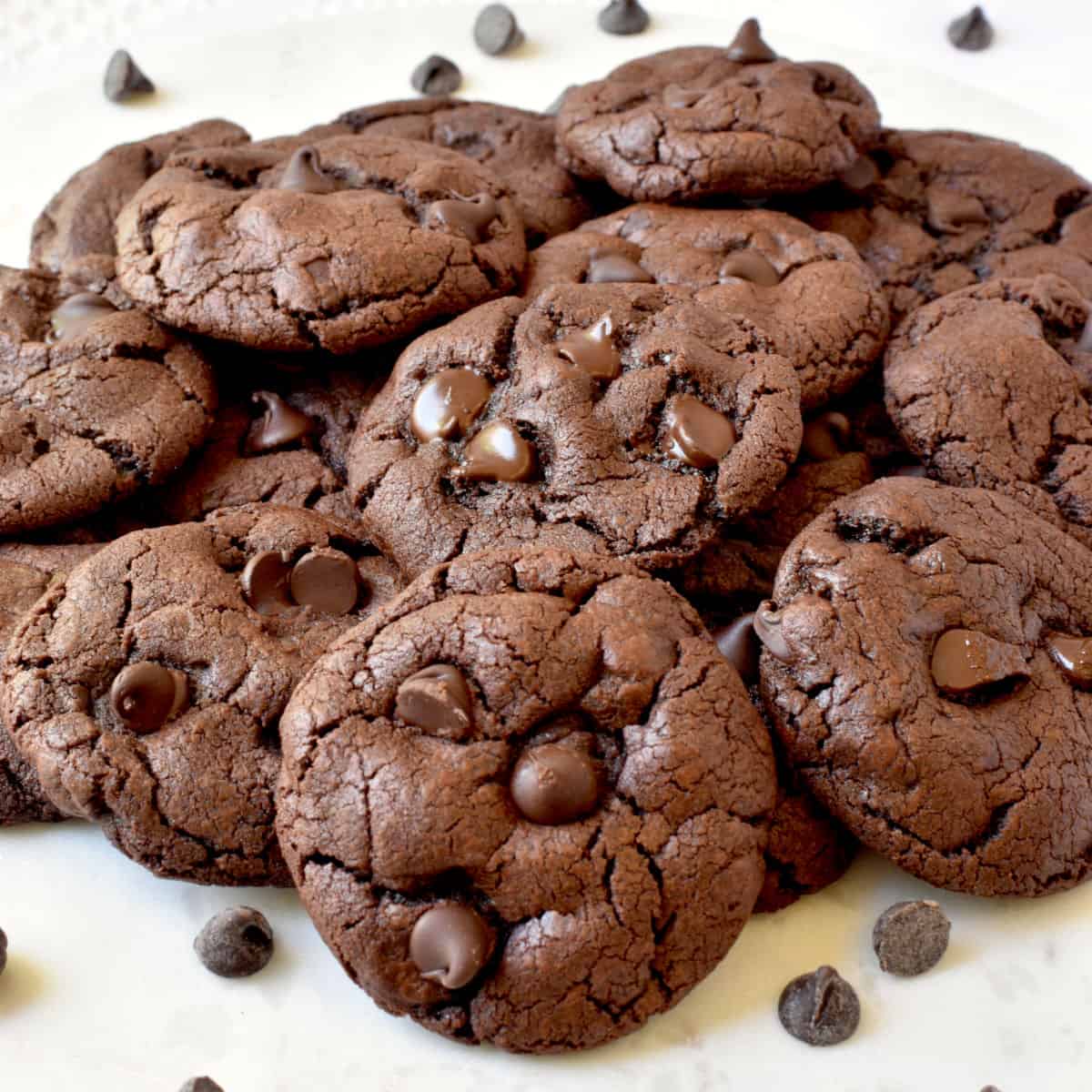 fudgy-chocolate-cookies-with-cocoa-powder-s